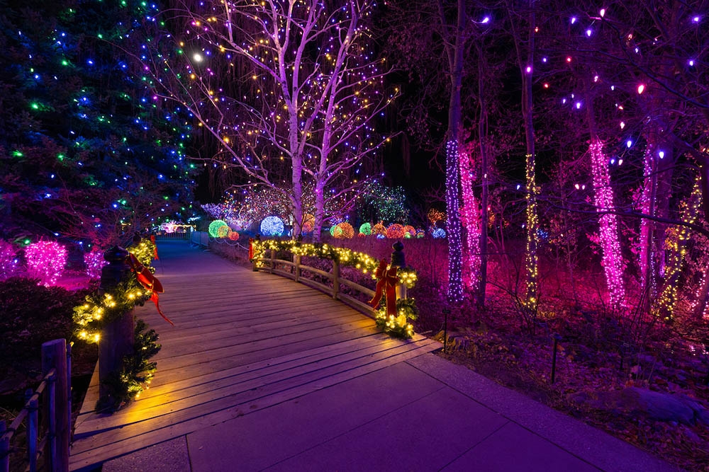 Use Blossoms of Light™ Technology at Home Denver Botanic Gardens